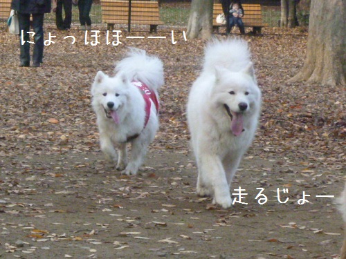 a0166954_2255981.jpg