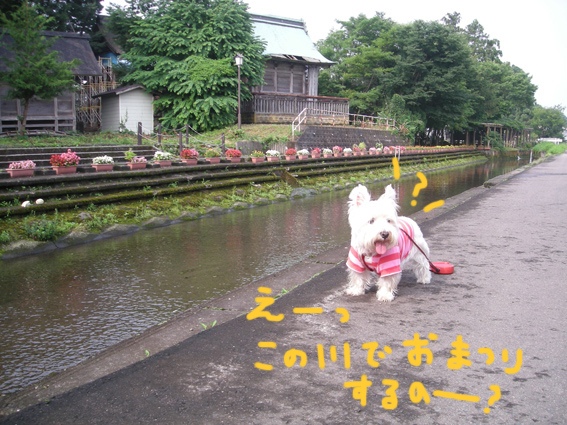 d0134156_12405736.jpg