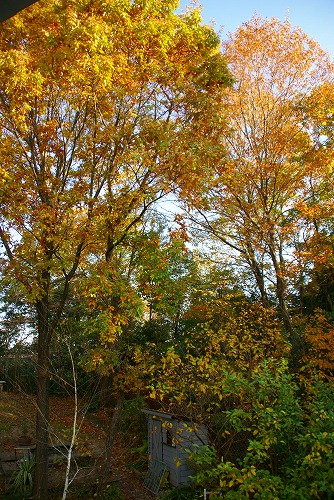 d0083761_1929660.jpg