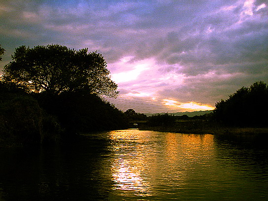 f0084561_1733762.jpg