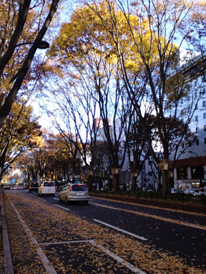 c0050264_131541.jpg