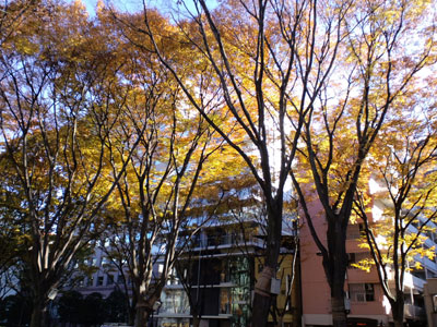 c0050264_132189.jpg