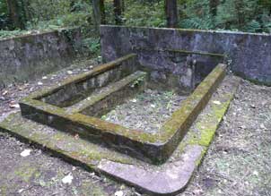 e0197164_1551327.jpg