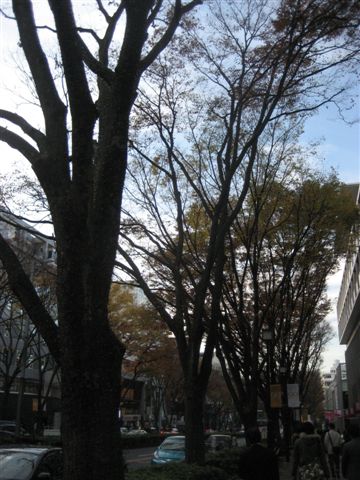 a0123465_23161294.jpg