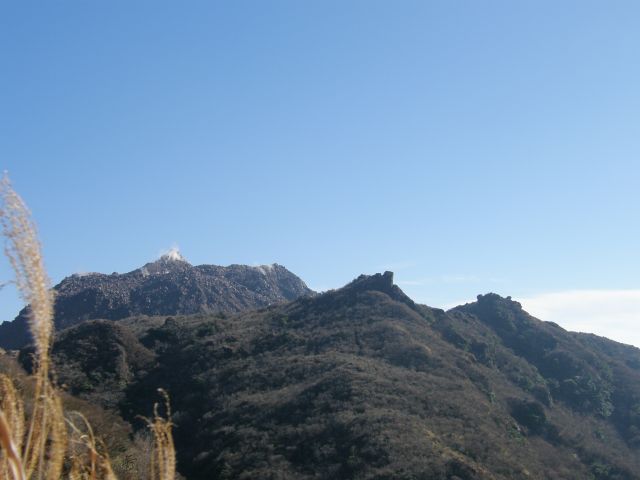 c0042869_9115476.jpg