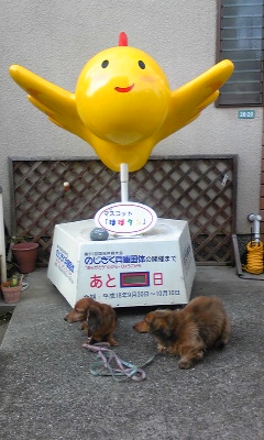 c0224470_19214574.jpg