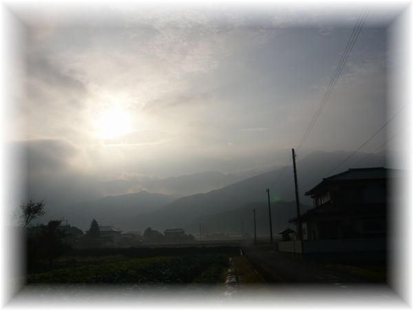 d0175974_1030244.jpg