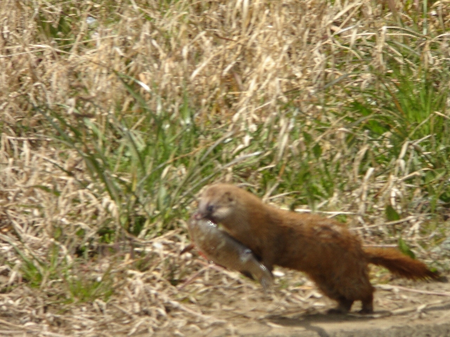 f0075075_1461261.jpg