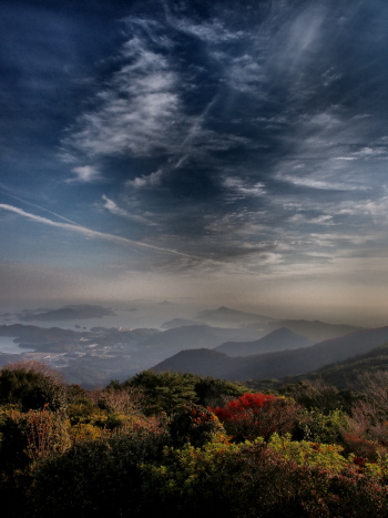 f0103688_1613959.jpg
