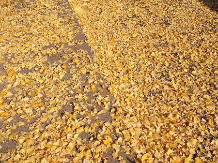 f0235289_15483793.jpg