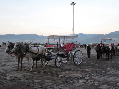 f0058691_1803318.jpg