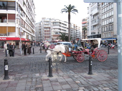 f0058691_181181.jpg