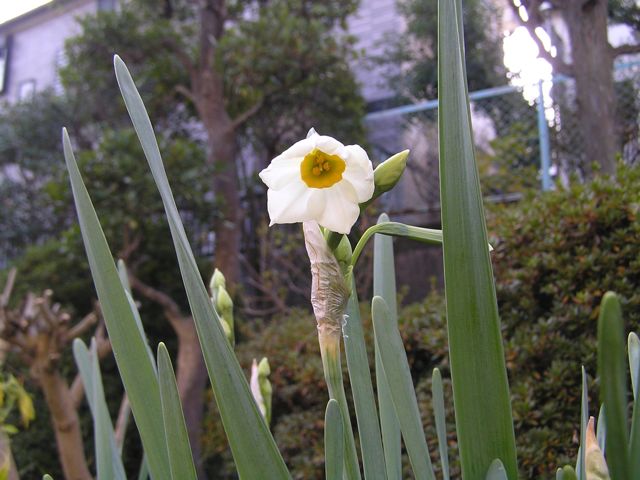 f0130894_2105014.jpg