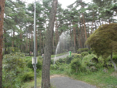 c0086895_1319360.jpg