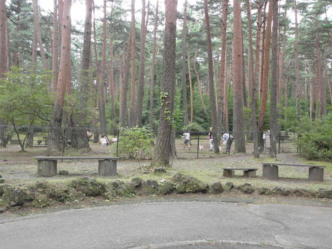 c0086895_13252542.jpg