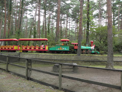 c0086895_13295051.jpg