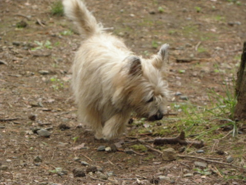 c0086895_13391523.jpg