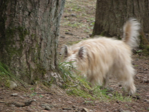 c0086895_1339216.jpg