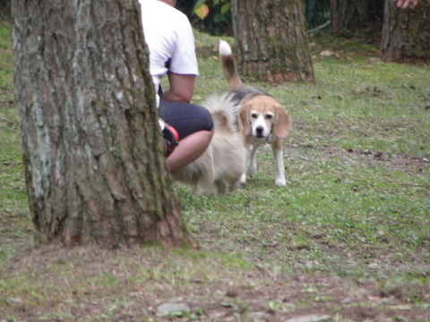 c0086895_13413897.jpg