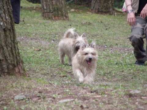 c0086895_1341546.jpg