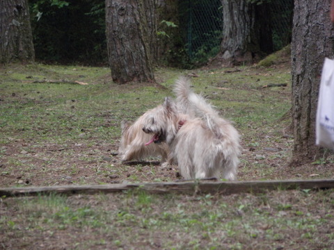 c0086895_13443148.jpg