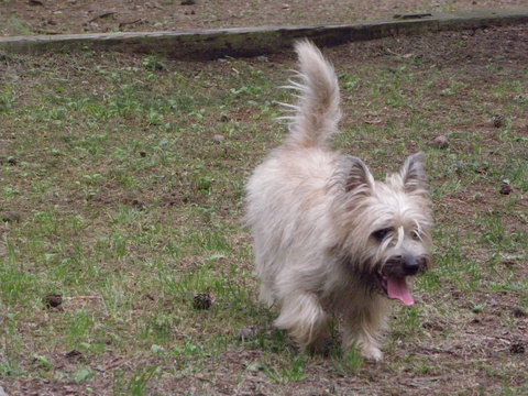 c0086895_13495398.jpg