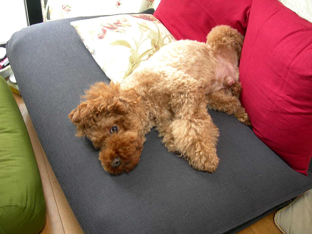 c0220700_16122592.jpg