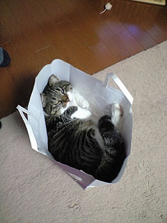 c0035001_13531539.jpg