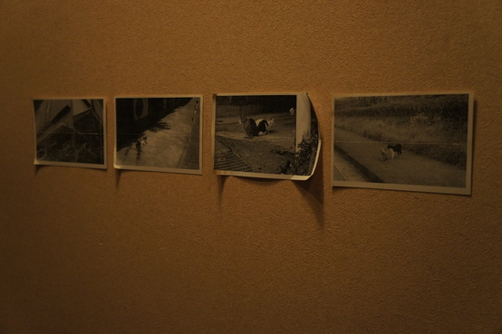 d0172508_2194080.jpg