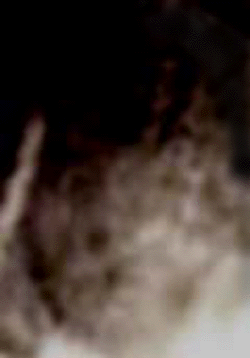 e0103408_15415847.gif