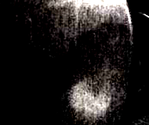 e0103408_15423673.gif