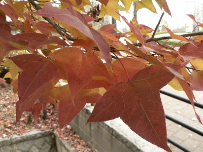f0219710_7214075.jpg