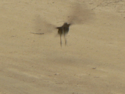 f0219710_7272561.jpg