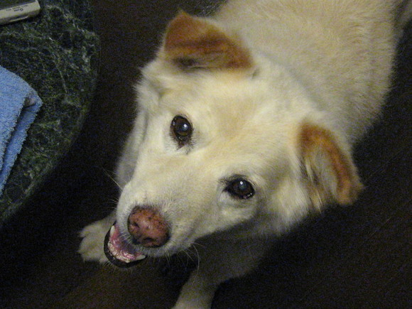 b0207615_21194870.jpg