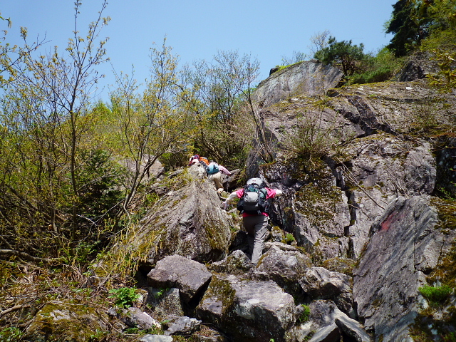 d0170615_1041066.jpg