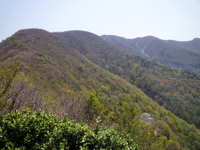 d0170615_1044076.jpg