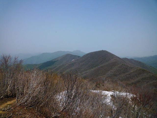 d0170615_1055679.jpg