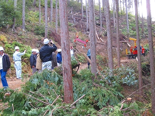 e0002820_7122717.jpg