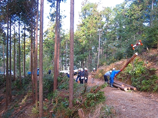 e0002820_7194494.jpg