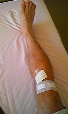 e0016120_1446481.jpg