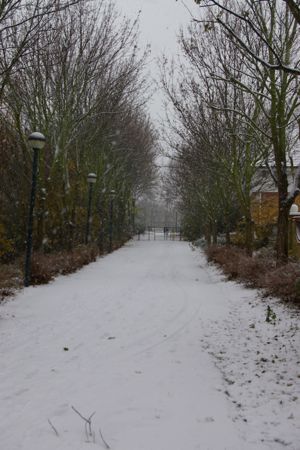 e0114020_8503449.jpg