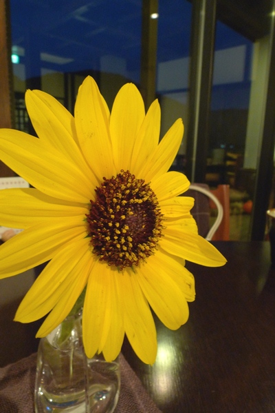 e0119122_16141583.jpg