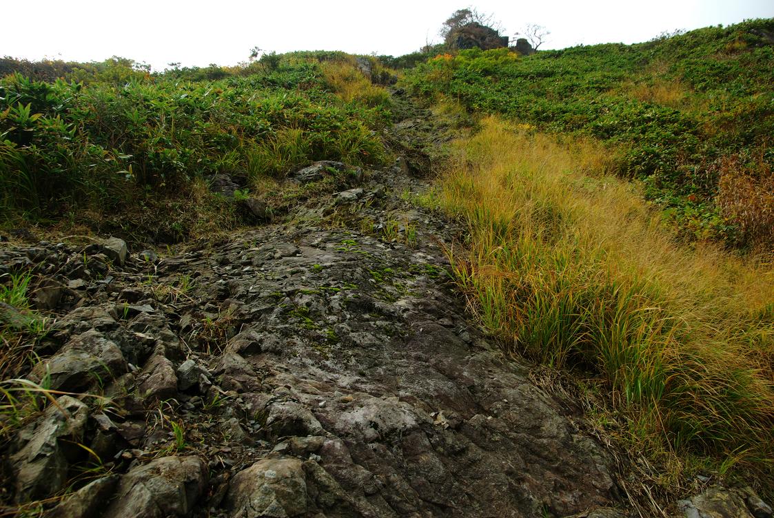 b0062024_7591735.jpg