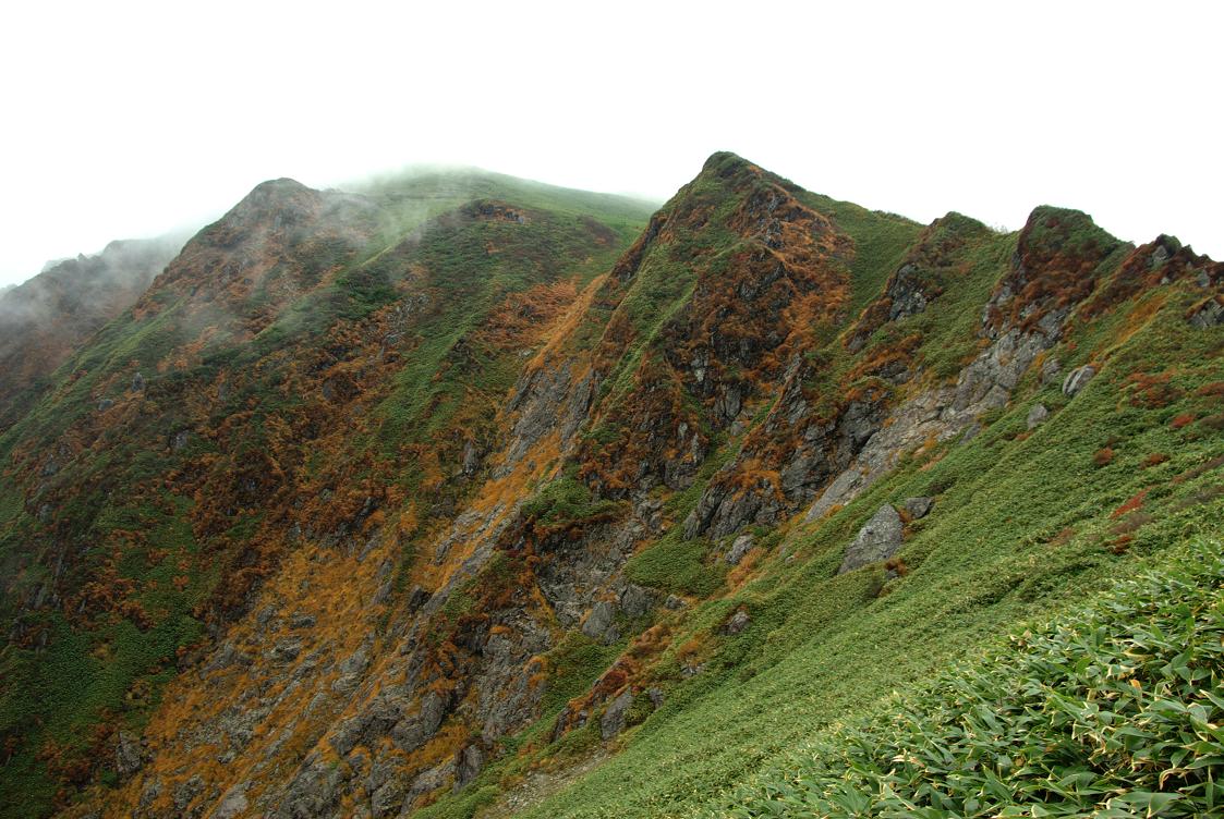 b0062024_8101854.jpg