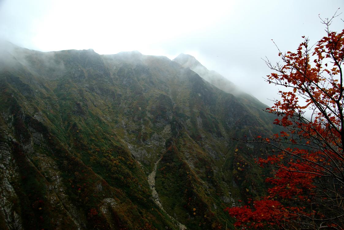 b0062024_811929.jpg
