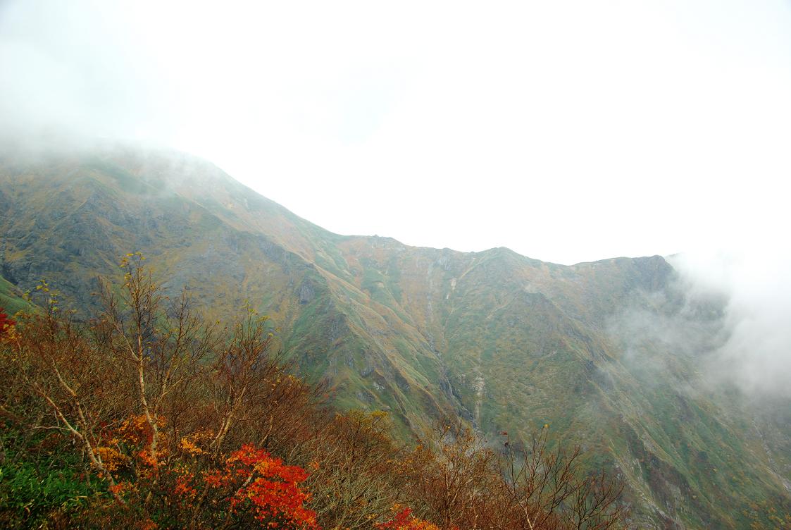 b0062024_87386.jpg