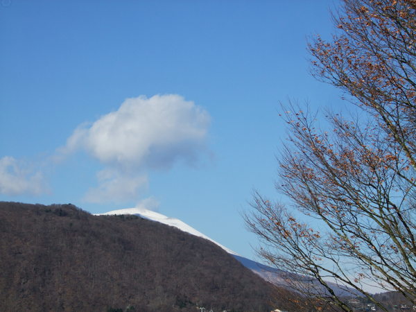 b0132024_1042234.jpg