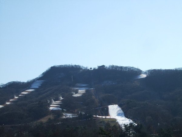 b0132024_10432015.jpg