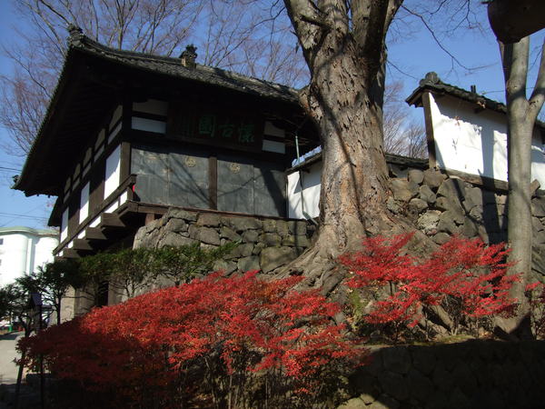 b0132024_114118.jpg