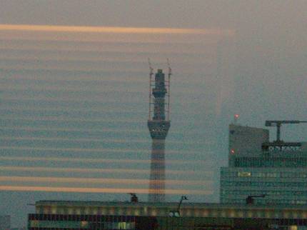d0065324_2145511.jpg